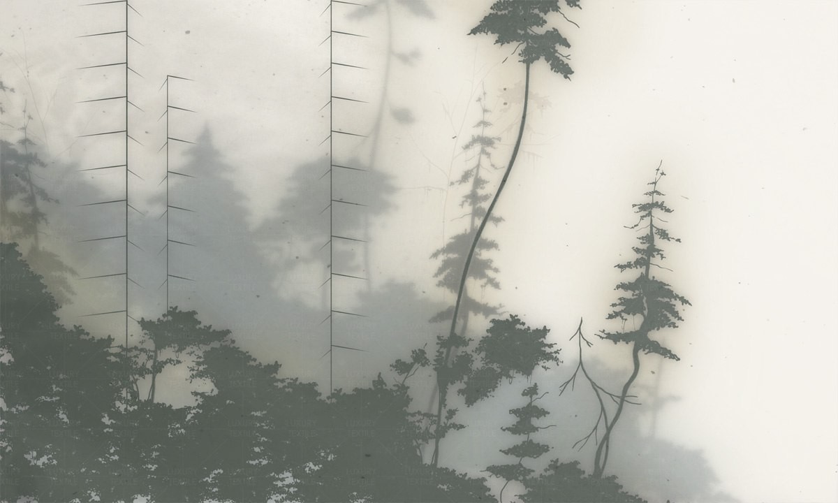 Mystical Forest: Foggy Forest Wallpaper with Tall Spruces