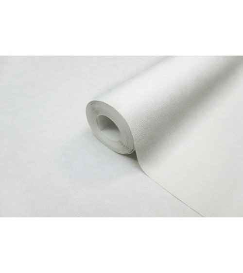 Vinyl Foam wallpaper on non-woven base Vinil Zan DHN-1425/1 White 10,05 x 1,06 m