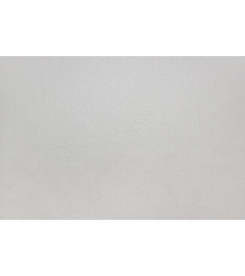 Hot Embossed wallpaper on Non-Woven Base Vinil Splash TFSH 1-1350 Light-Beige 10,05 x 1,06 m