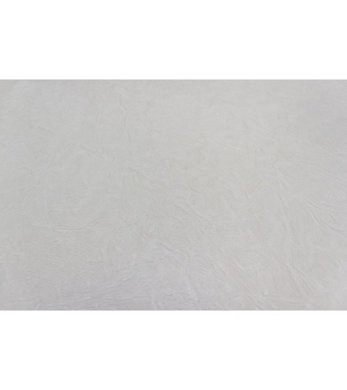 Hot Embossed wallpaper on Non-Woven Base Vinil Splash TFSH 1-1350 Light-Beige 10,05 x 1,06 m