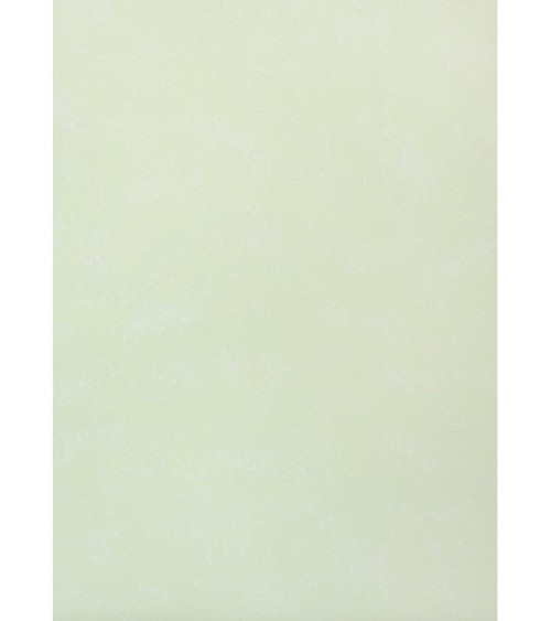 Vinyl Foam wallpaper on paper backing Vinil Bunnies WKS 3-1336 Light Green 10,05 x 0,53 m