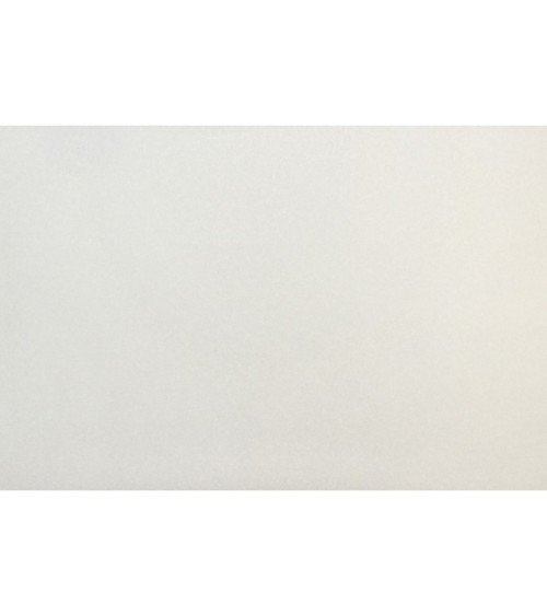 Vinyl Foam wallpaper on non-woven base Vinil Painted Wallpaper PRO 2 White 25 x 1,06 m