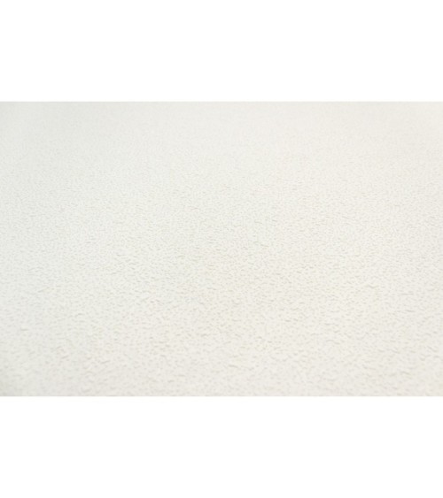 Vinyl Foam wallpaper on non-woven base Vinil Painted Wallpaper PRO 2 White 25 x 1,06 m