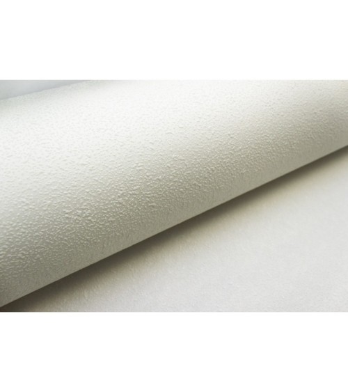 Vinyl Foam wallpaper on non-woven base Vinil Painted Wallpaper PRO 2 White 25 x 1,06 m