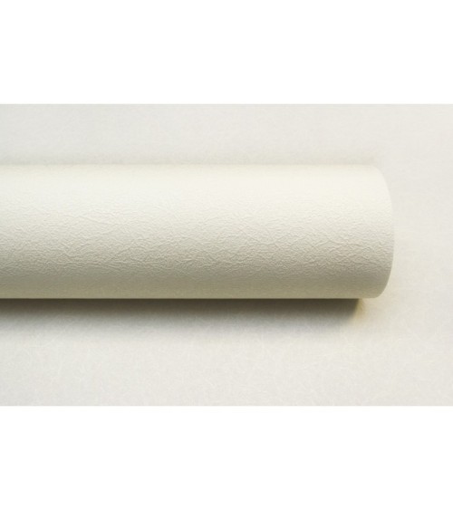 Vinyl Foam wallpaper on non-woven base Vinil Painted Wallpaper PRO 3 White 25 x 1,06 m