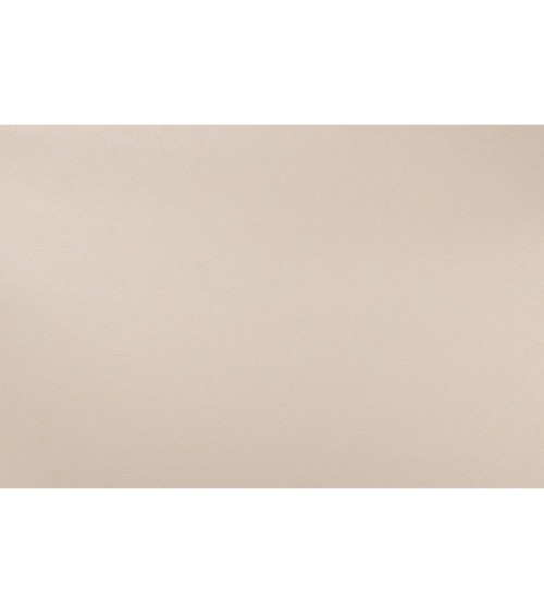 Vinyl Foam wallpaper on non-woven base Vinil Painted Wallpaper PRO 3 - Light3 Beige 10,05 x 1,06 m