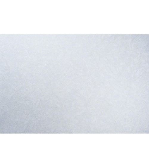 Vinyl Foam wallpaper on non-woven base Vinil Fiji  DHS-1480/1 White 10,05 x 1,06 m