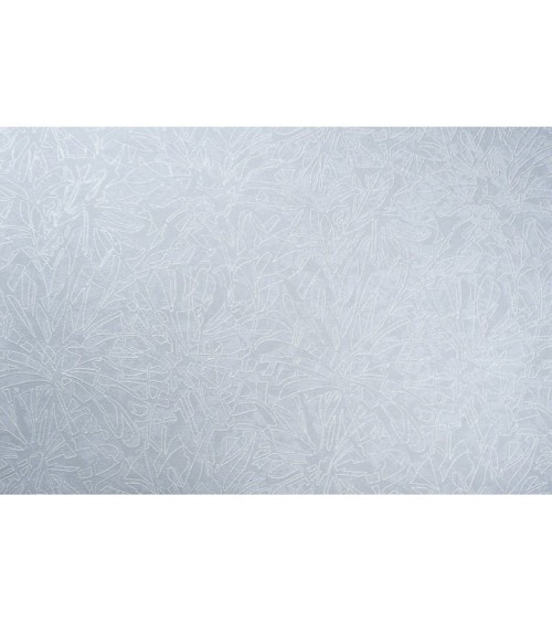 Vinyl Foam wallpaper on non-woven base Vinil Fiji  DHS-1480/5 Gray1 10,05 x 1,06 m