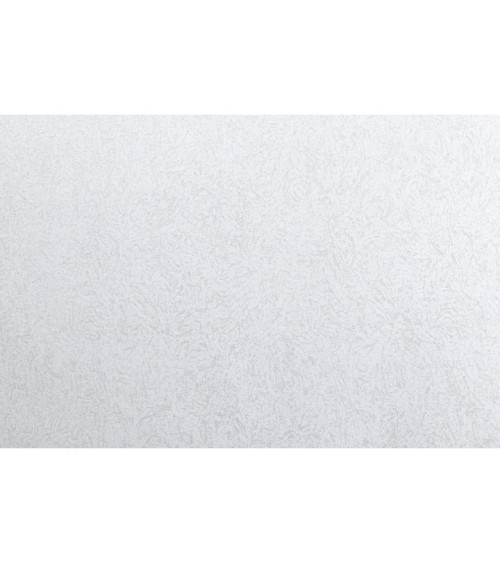 Vinyl Foam wallpaper on non-woven base Vinil ARABELLA KFV 4-1628 Gray 10,05 x 0,53 m