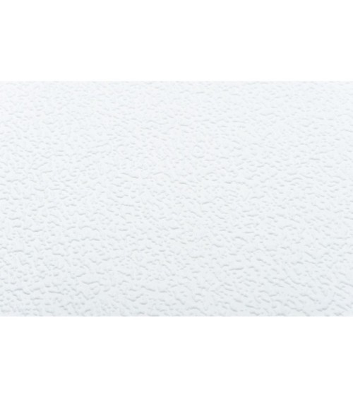 Vinyl Foam wallpaper on non-woven base Vinil Painted Wallpaper РЎ-19 White 25 x 1,06 m