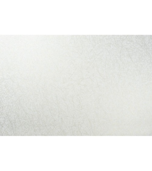 Vinyl Foam wallpaper on non-woven base Vinil Klein  DHS-1412/1 White-Golden-Pearl 10,05 x 1,06 m