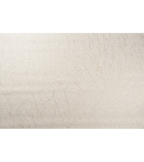 Vinyl Foam wallpaper on non-woven base Vinil Klein  DHS-1412/3 Golden Beige 10,05 x 1,06 m