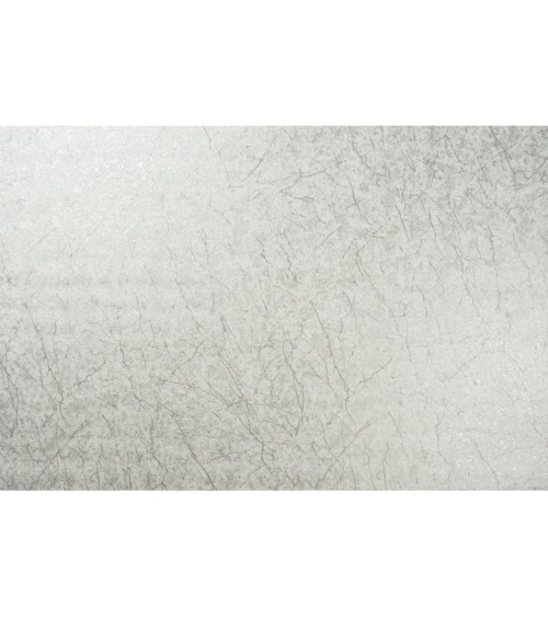 Vinyl Foam wallpaper on non-woven base Vinil Klein  DHS-1412/4 Light-Gray-Silver 10,05 x 1,06 m