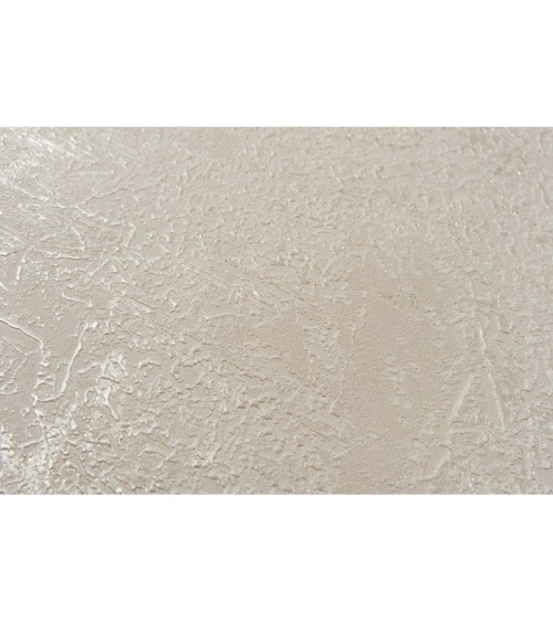 Hot Embossed wallpaper on Non-Woven Base Vinil Agava SHT 6-1406 Beige 10,05 x 1,06 m