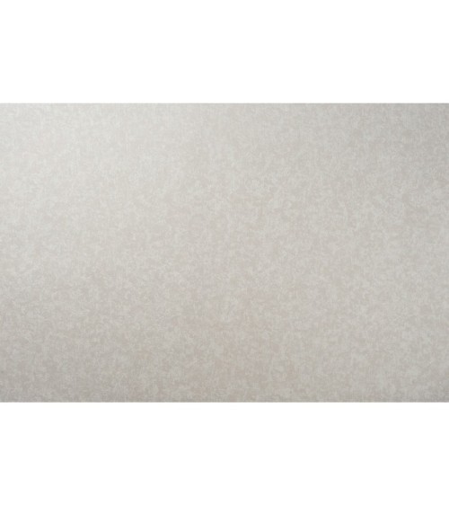 Vinyl Foam wallpaper on non-woven base Vinil Malena DHN-1495/2 Gray-Brown 10,05 x 1,06 m