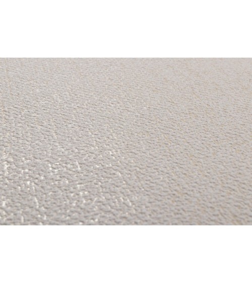 Vinyl Foam wallpaper on non-woven base Vinil Atreyu  DHS-1477/5 Sandy 10,05 x 1,06 m