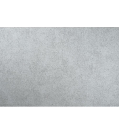 Hot Embossed wallpaper on Non-Woven Base Vinil Fringe SHT 4-1469 Light-Gray 10,05 x 1,06 m