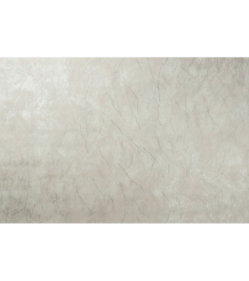 Hot Embossed wallpaper on Non-Woven Base Vinil Arona TFSH4-1279 Silver-Brown 10,05 x 1,06 m