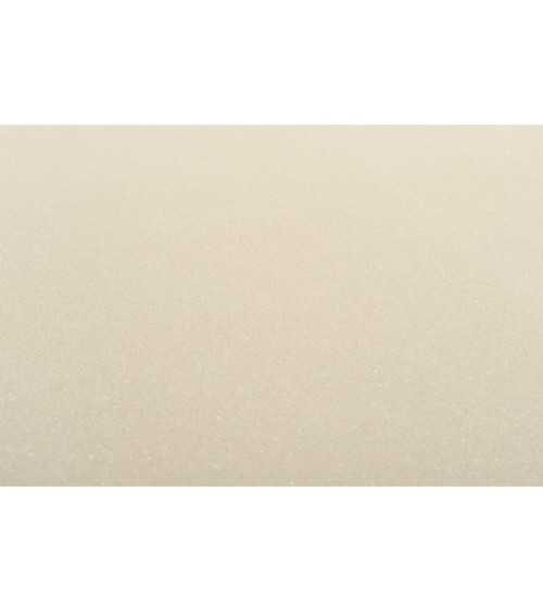 Hot Embossed wallpaper on Non-Woven Base Vinil Odyssey SHT 4-1561 Beige 10,05 x 1,06 m