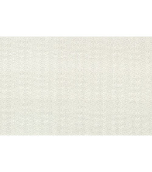 Vinyl Foam wallpaper on non-woven base Vinil Damir DHV-1487/2 Beige 10,05 x 1,06 m