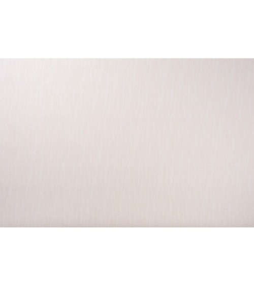 Vinyl Foam wallpaper on non-woven base Vinil Asteria DHN-1497/1 Beige 10,05 x 1,06 m