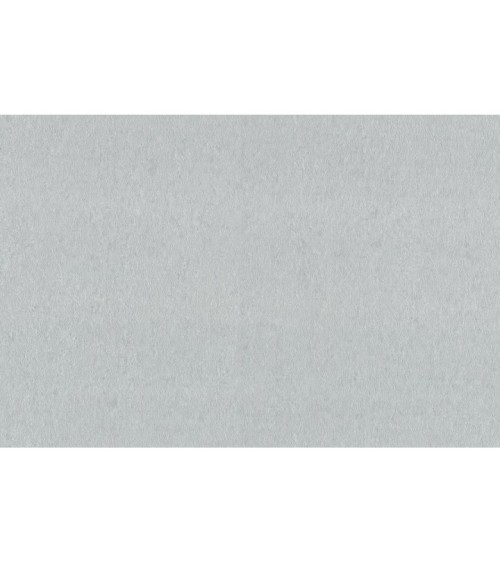 Hot Embossed wallpaper on Non-Woven Base Vinil Alanya VIP 5-1542 Light-Gray 10,05 x 1,06 m