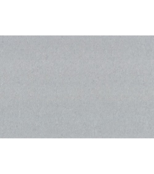 Hot Embossed wallpaper on Non-Woven Base Vinil Alanya VIP 6-1542 Gray 10,05 x 1,06 m