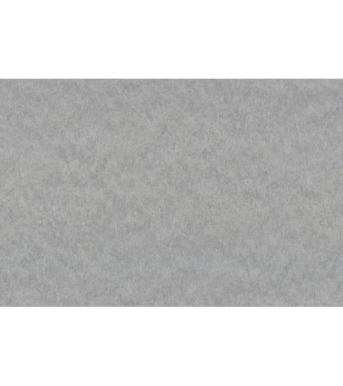 Hot Embossed wallpaper on Non-Woven Base Vinil Alanya VIP 7-1542 Gray-Brown 10,05 x 1,06 m