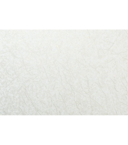 Vinyl Foam wallpaper on non-woven base Vinil Klein KFS 1-1524 White-Golden-Pearl 10,05 x 0,53 m